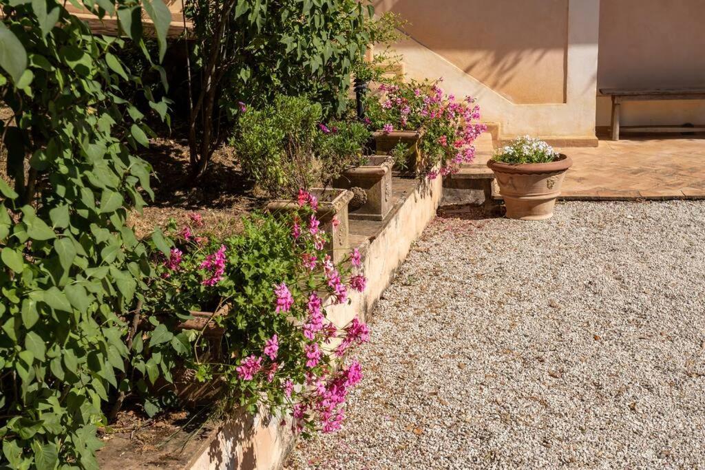 Apartment In Nature,10Min From City 佩鲁贾 外观 照片